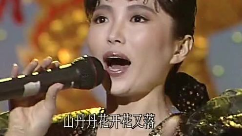 1988年央视春晚 程琳歌曲《思念到永远》