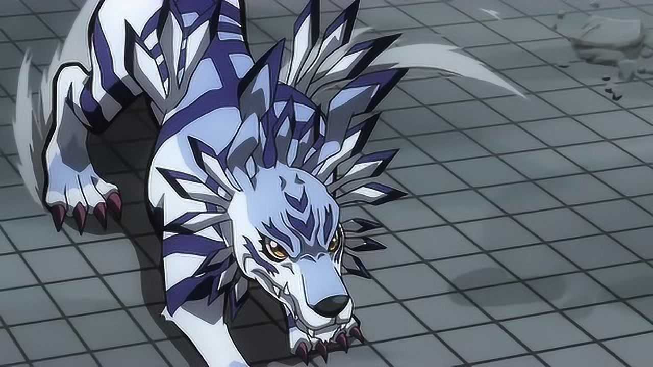 数码宝贝加鲁鲁兽进化变身好厉害