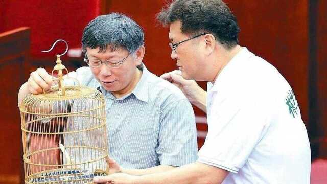 台北4年没有任何新建设?台媒:有“妈宝”市长这是必然