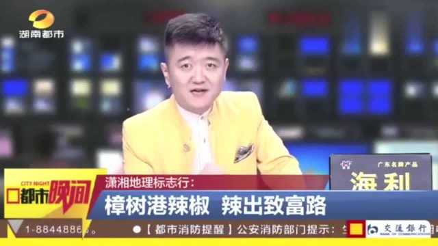 樟树港辣椒为何这么贵?280元一斤?“辣”到好处,贵得有道理!