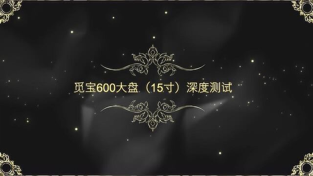 觅宝探界者600地下金属探测器大盘测试