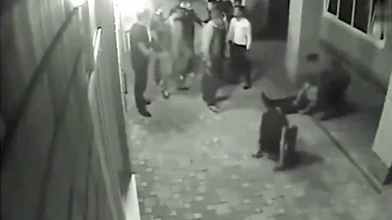 职业拳击手街头斗殴,这动作也太霸气了,谁敢争锋?_高清1080P在线观看平台_腾讯视频
