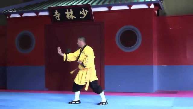 少林小洪拳分解教学,学会你也是高手