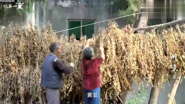 大豆可以制作的不止有豆腐,大豆杆原来比豆腐好吃,人间美味尚品