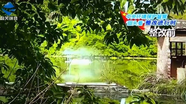 乐昌原灯泡厂厂区内水塘整改完成 将规划为农贸市场