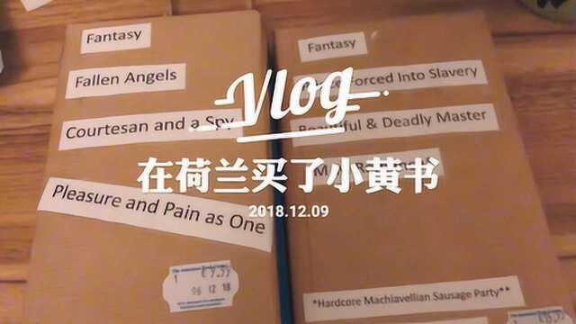 在荷兰的书店玩了叫book blind date的游戏,好像买到了小黄书.