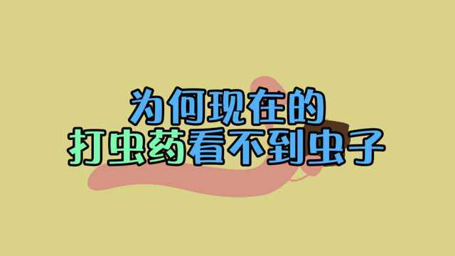 以前吃的打虫药能见到打下的虫,为何现在的肠虫清不见打下虫子?