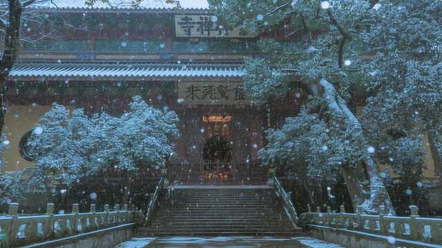 杭州最美雪景,灵隐禅寺听雪!