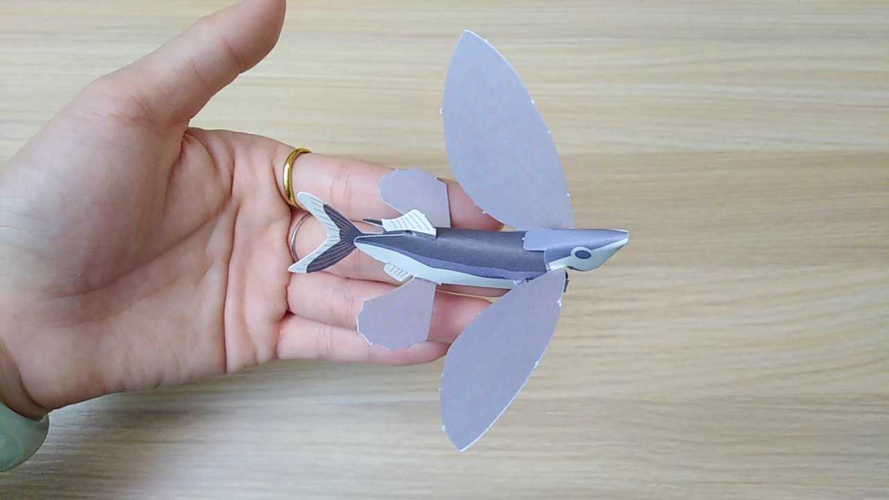 简易立体折纸只需动手折一折萌萌哒小飞鱼就在手心游泳啦