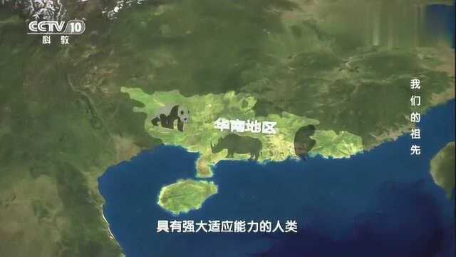 多处遗址都可以证明末次冰期时仍有人类在中国大地上繁衍生息