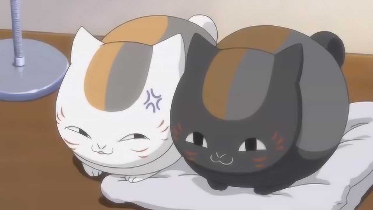 猫咪老师和狸追大人都好可爱啊好想养一只