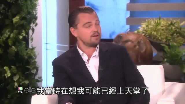 艾伦秀上,Leonardo DiCaprio讲述片场危险的事情,听完好惊险啊!