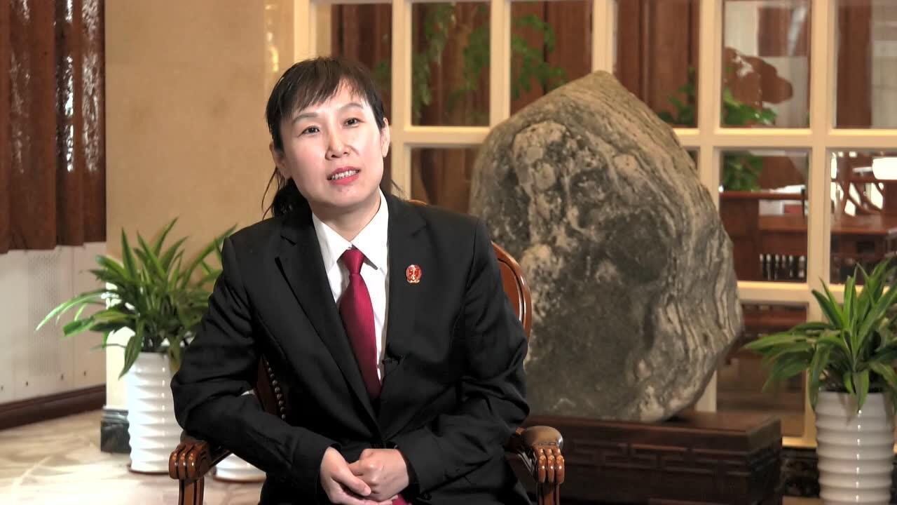 杰出法治候选人物"全国法院办案标兵"陈晓静