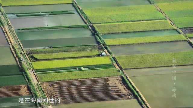 航拍中国:乐东黎族自治县,莺歌海盐场