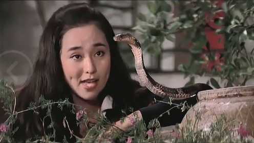 女孩养了一条小蛇，告诉它自己要出嫁了，没想到蛇是这个反应
