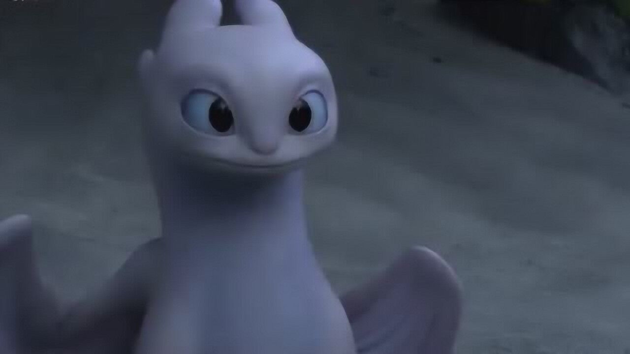 小黑龙挑逗小白龙,看这可爱的动作,萌化了!