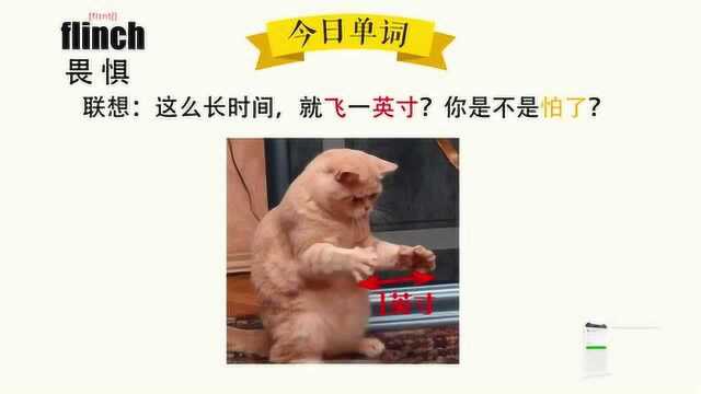 超级记忆之单词记忆 flinch.畏惧