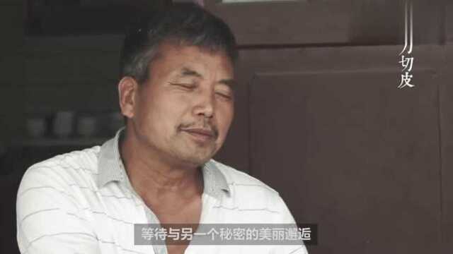 秦镇凉皮界的一方霸主 一把老刀守住陕西人最眷恋的味道