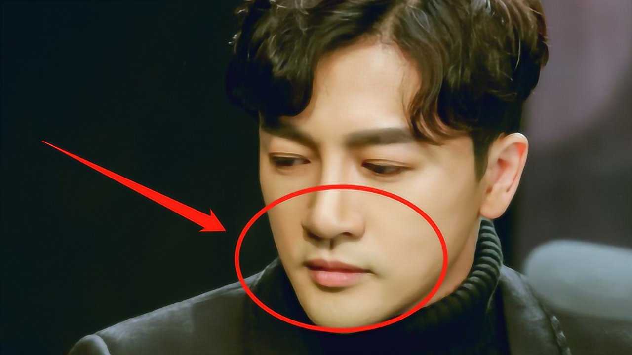 46岁苏有朋近照曝光,鼻子下巴大变样,莫名撞脸王凯林峰!