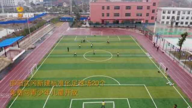 邵阳武冈新建标准化足球场20个,免费向青少年儿童开放