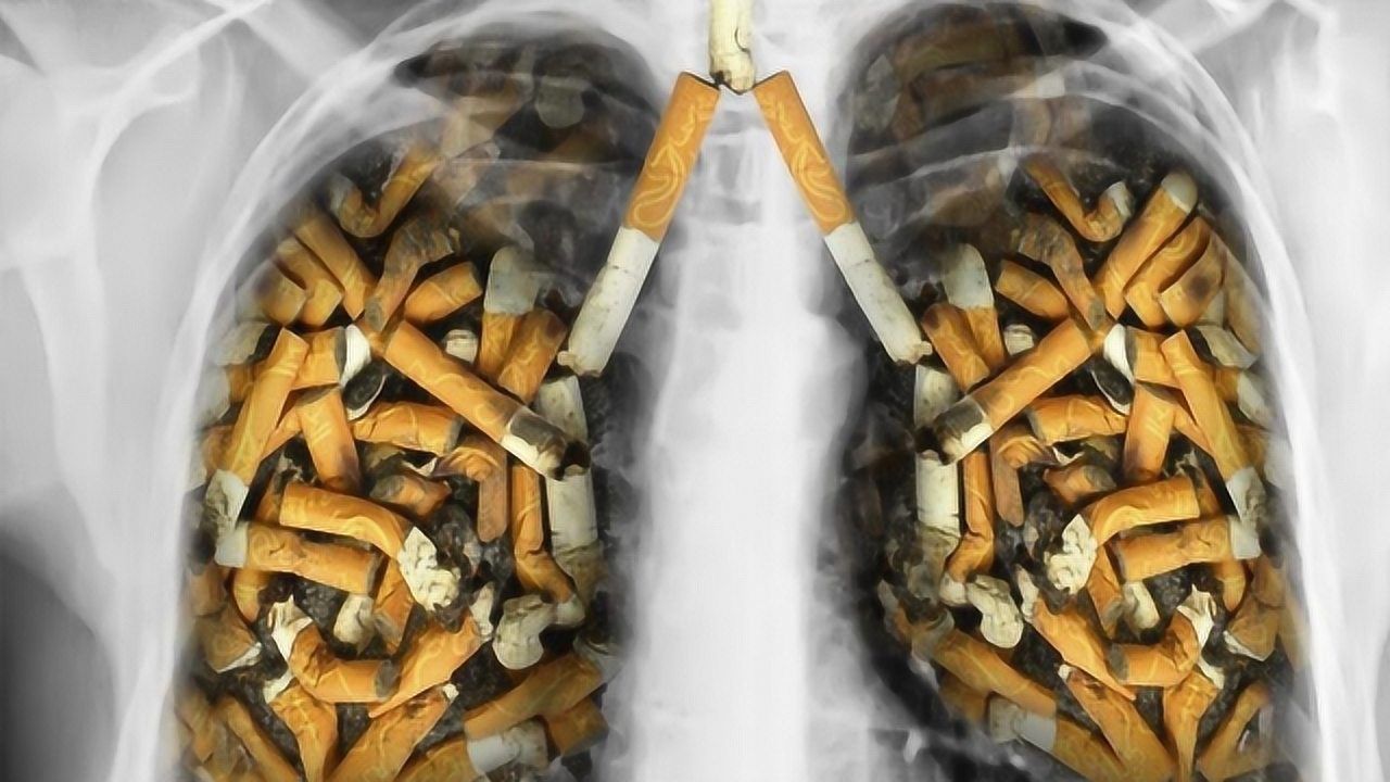 抽烟人的肺恐怖图片