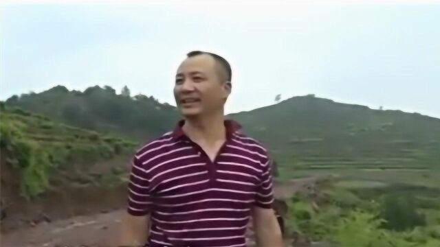 红宝石竟只是玻璃 人们却不听劝仍要挖宝 各部门联合发通告制止