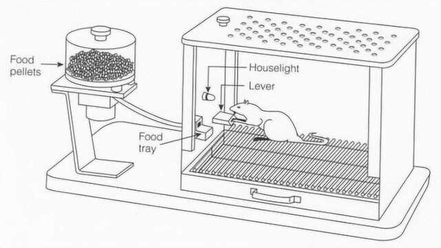 动物行为学的奠基实验斯金纳箱.