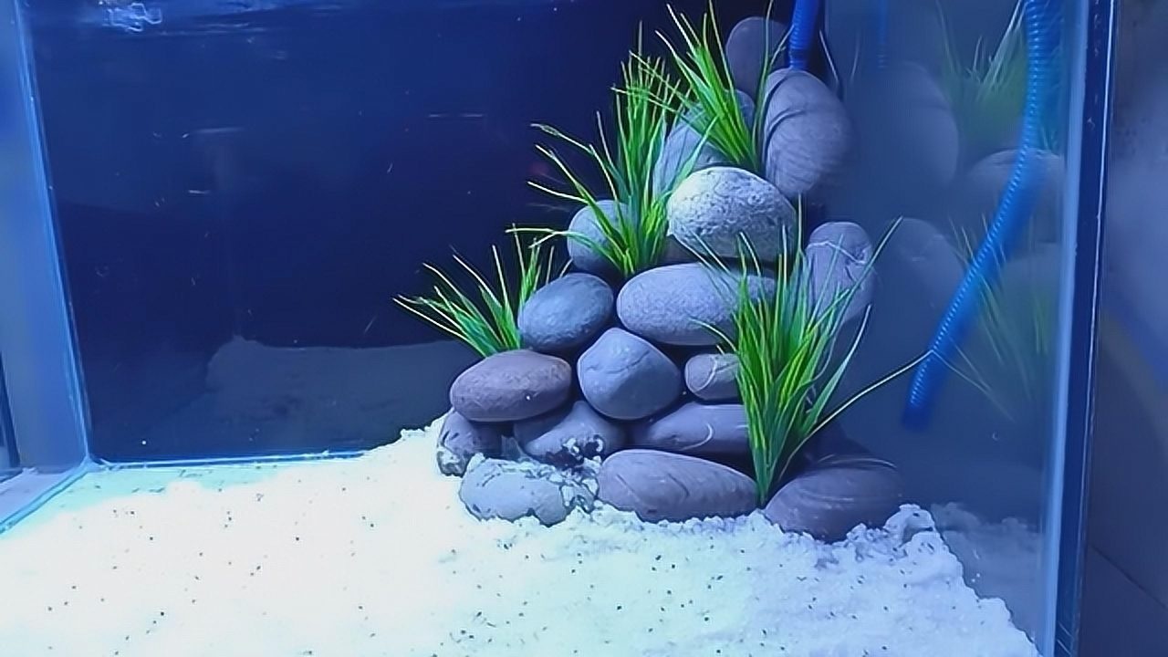鱼缸白沙造景小型
