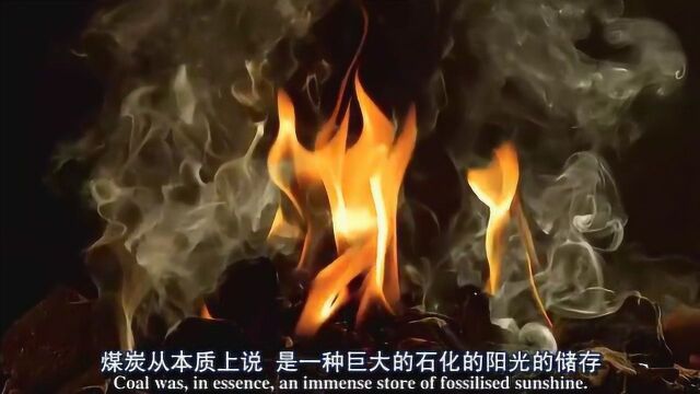 煤炭,改变了人和火的关系,对于人的发展至关重要!