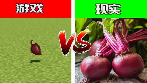 我的世界:mc甜菜根vs现实甜菜根!现实的它简直就是灵丹妙药
