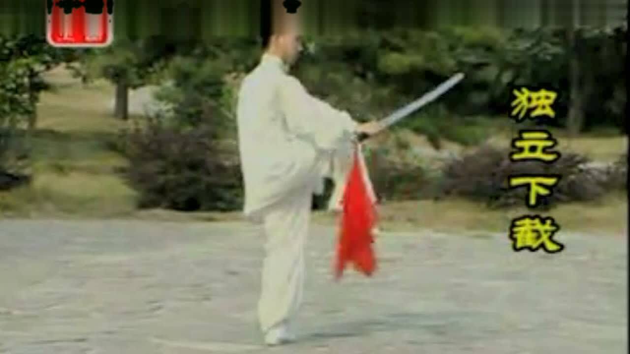 杨氏太极13刀完整演示_腾讯视频