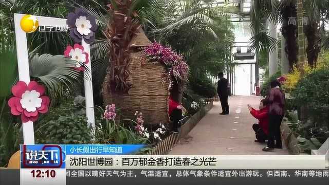 沈阳世博园百万郁金香登场,多彩花卉打造春之光芒