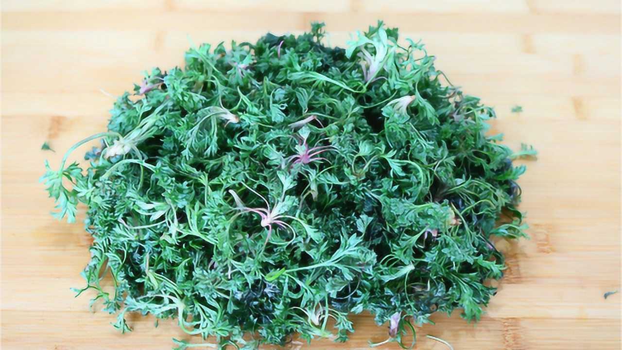 白蒿被稱為野菜之王,教你新吃法,補肝護肝又美味,全家都愛吃