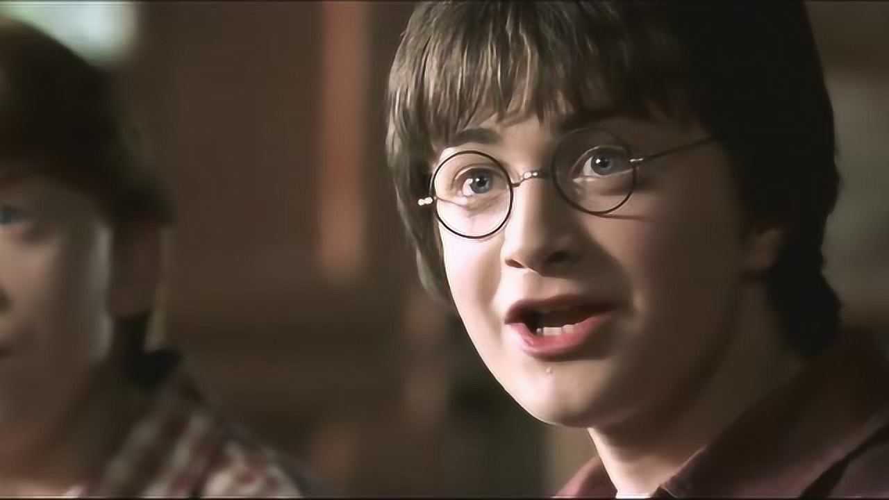 哈利和金妮第一次相遇哈利你知道她是你未来的老婆吗