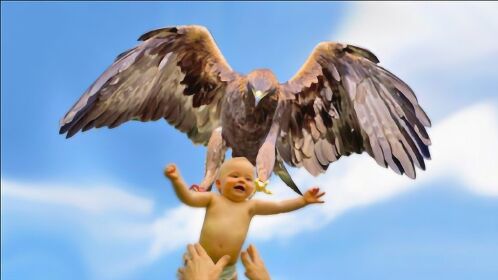 老鹰把小孩当做猎物叼走,父亲竟毫无察觉,结果让人忍不住泪目!