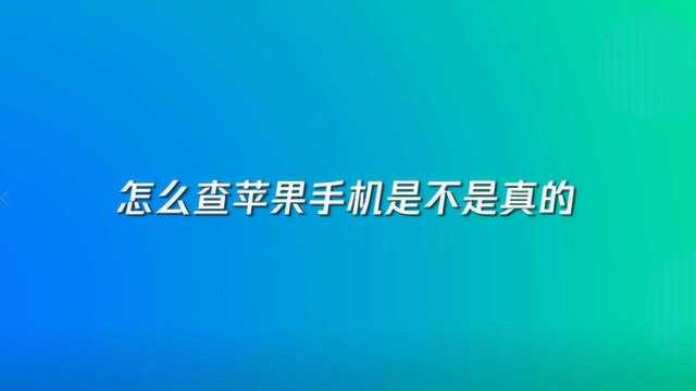 怎么查苹果手机是不是真的