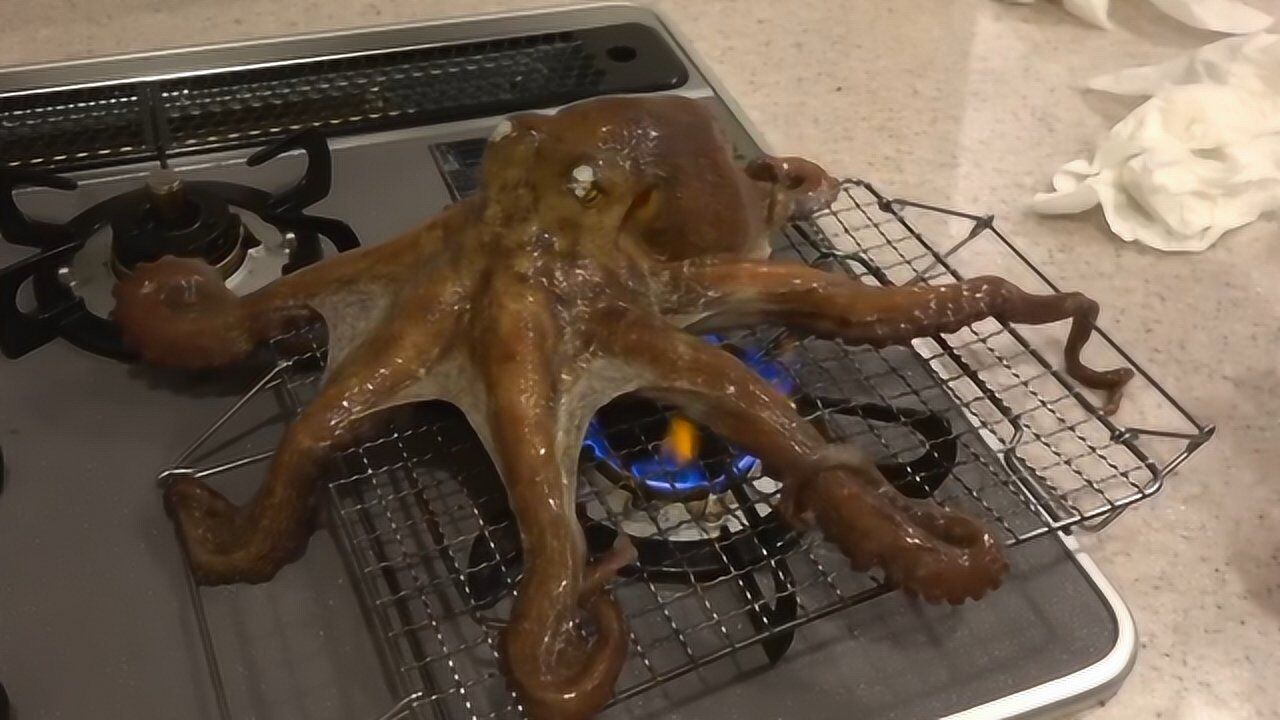 碳烤活章鱼图片