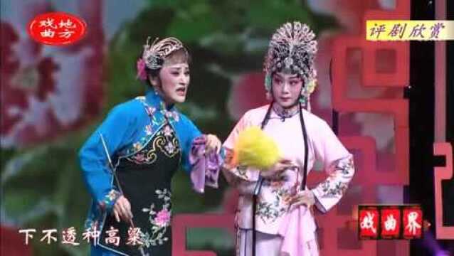 评剧《花为媒》选段 表演 徐金仙 施立红 茹桂林 李妮