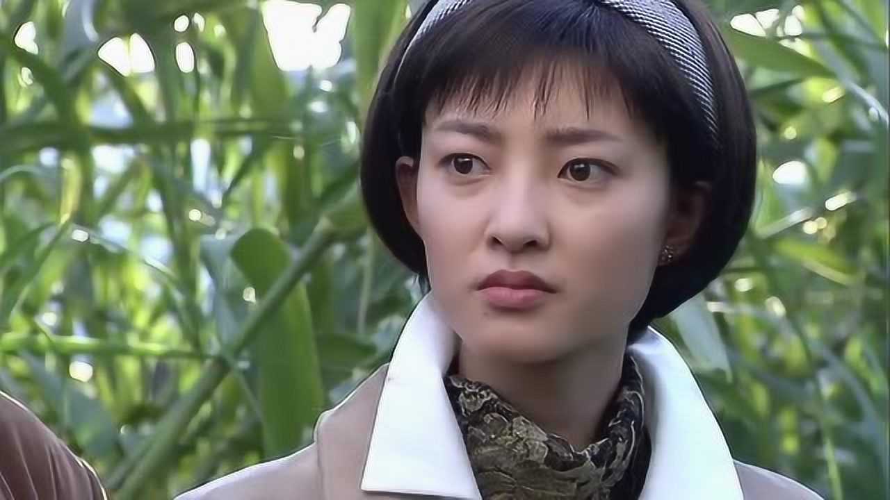 大批药品被烧毁,五号特工组一出马,问题瞬间解决!