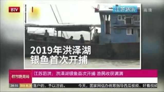 江苏泗洪:洪泽湖银鱼首次开捕 渔民收获满满