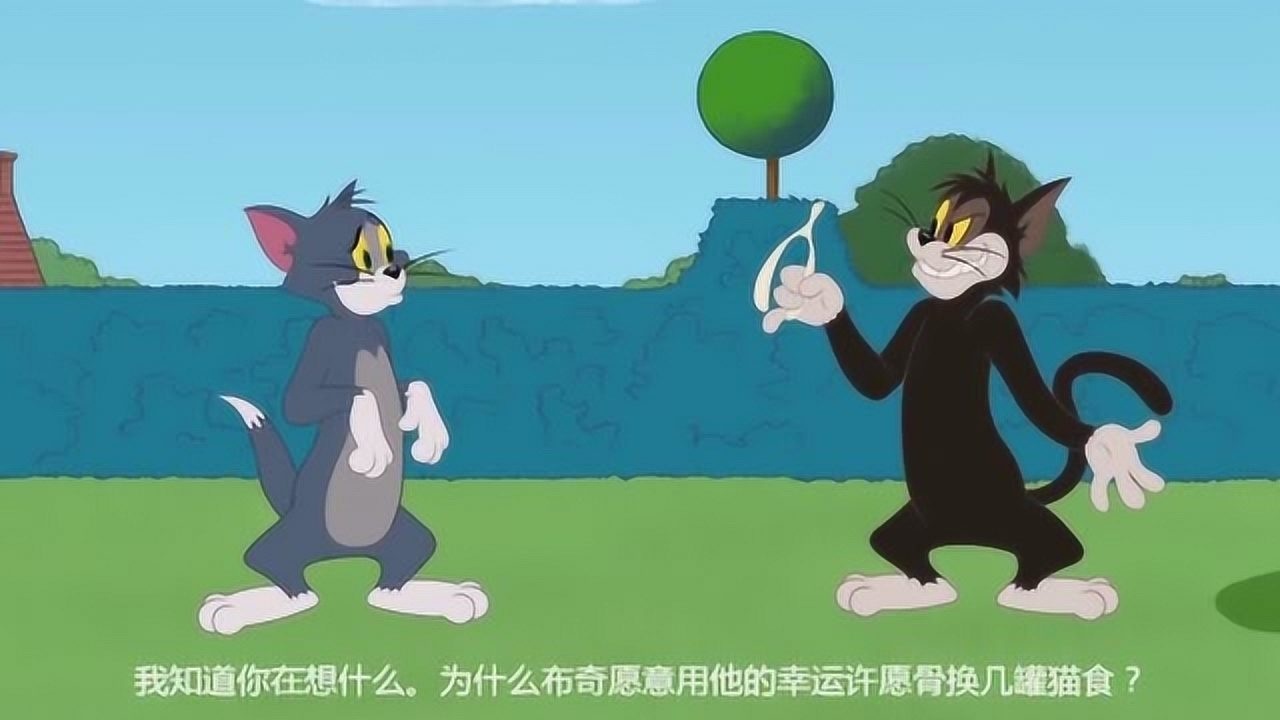 猫和老鼠精彩汤姆怀孕了挺着个大肚子杰瑞还是要整他