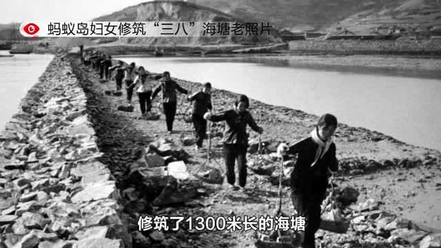 一户岛民三代人 讲述蚂蚁岛的色彩之变