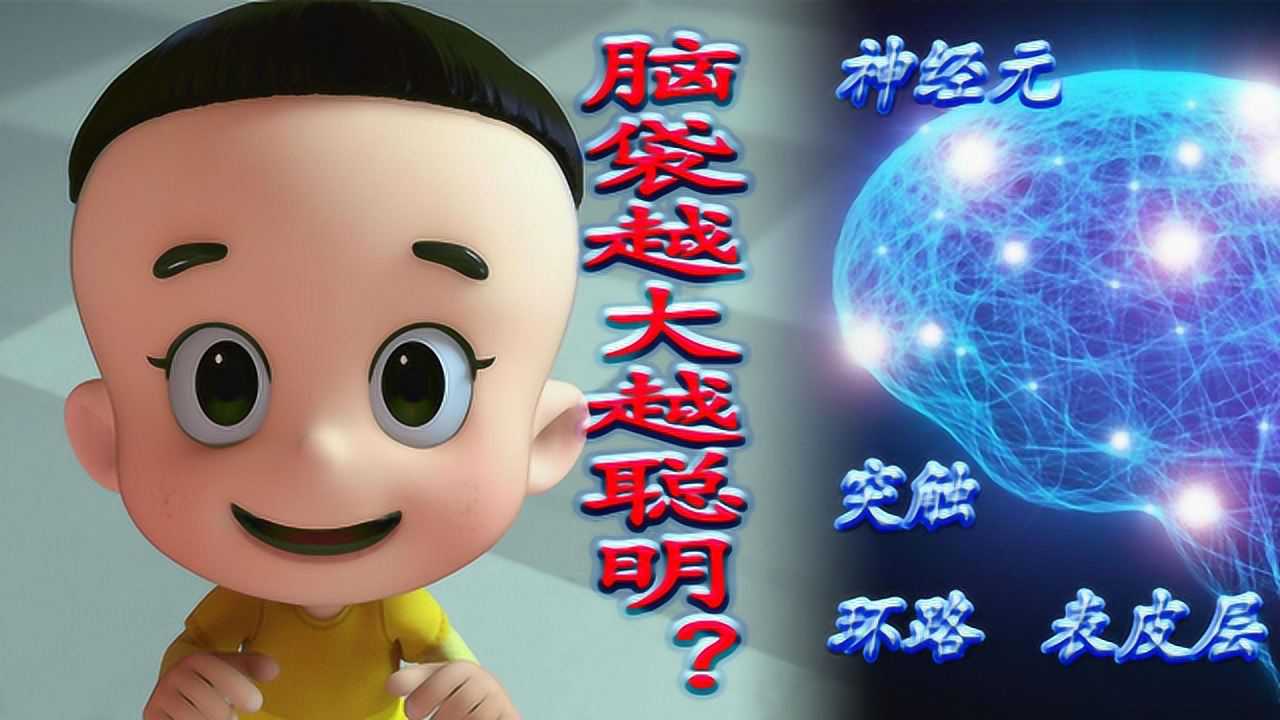 脑袋大的人,比普通人就聪明?那到底是什么决定智慧?