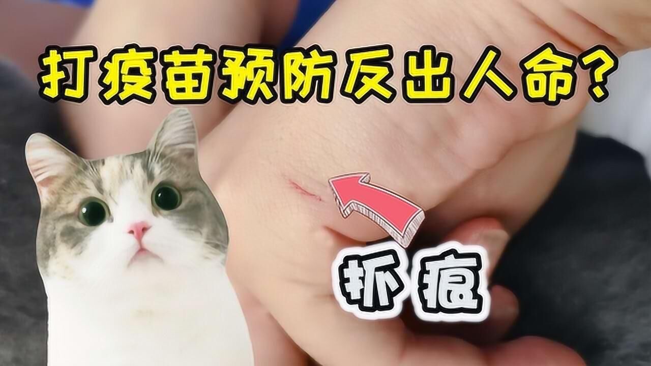 《鹅家萌宠园》男子注射狂犬疫苗3天后死亡,打疫苗预防反而打出人命?