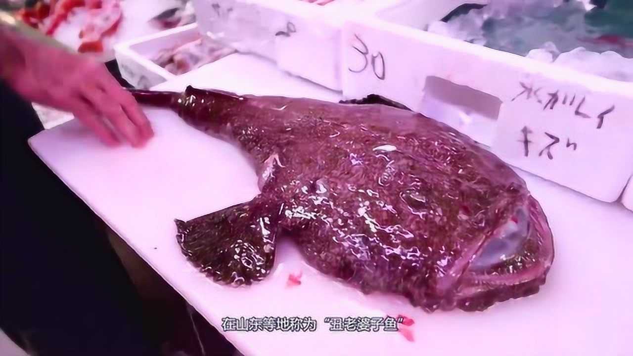 丑陋无比的蛤蟆鱼,看日本大厨如何做出极品美味,太不可思议了@电影