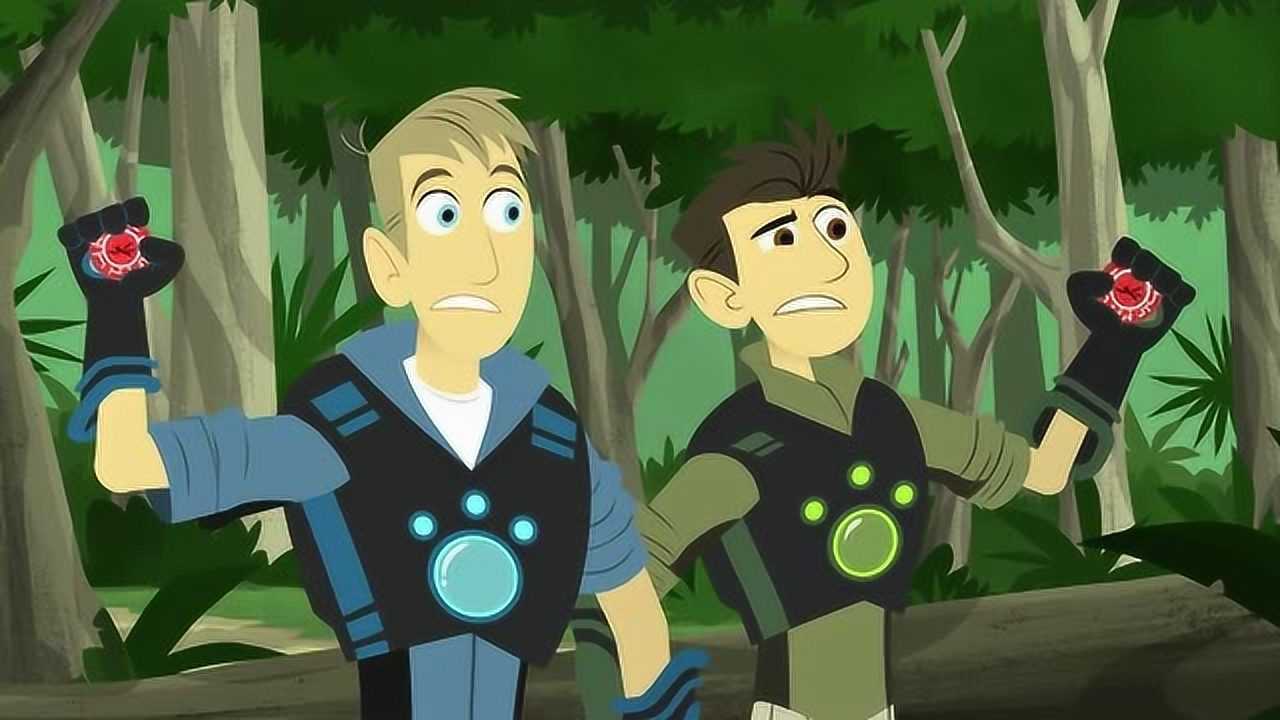 动物兄弟:美洲豹的活动范围非常的大,动物兄弟需要找很久