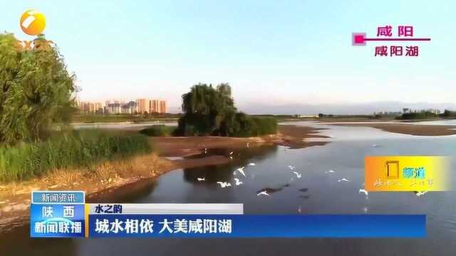 大美咸阳湖!阳光、沙滩仿佛走进海滨城市