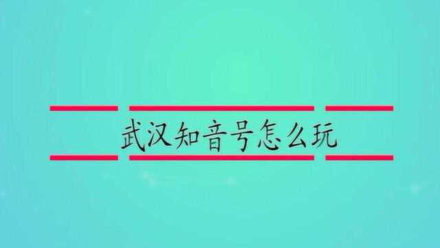 武汉知音号怎么玩