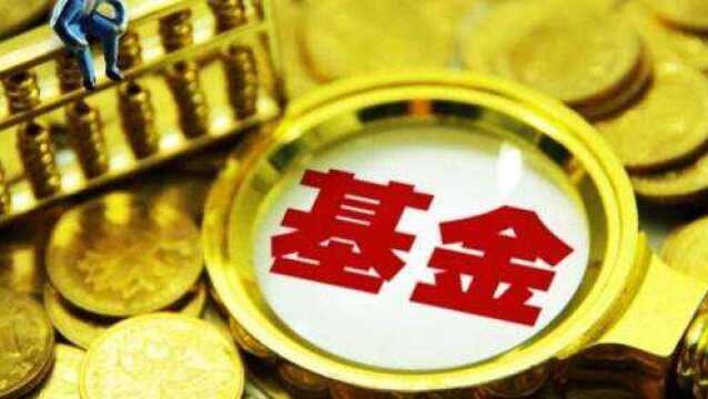 银华基金:半年收益率55.47%,农业行业研究功底可见一斑