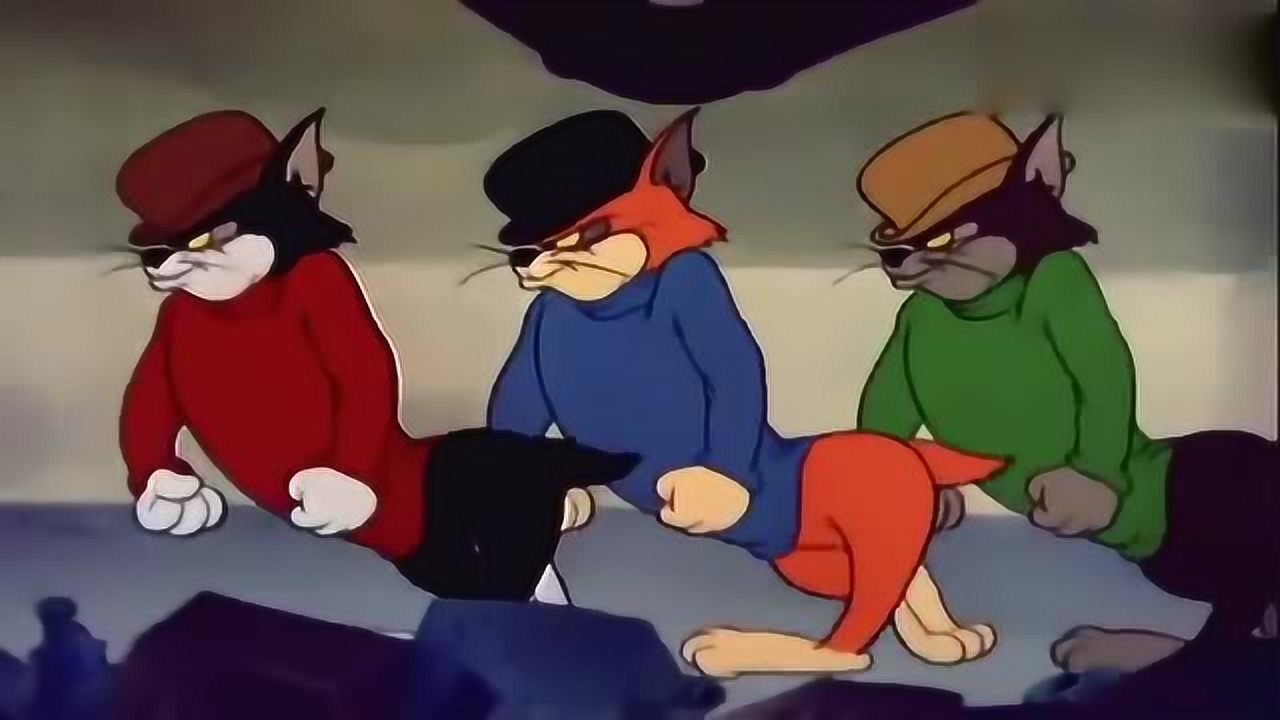 猫和老鼠:让这三只社会猫教你怎么走出六亲不认的步伐